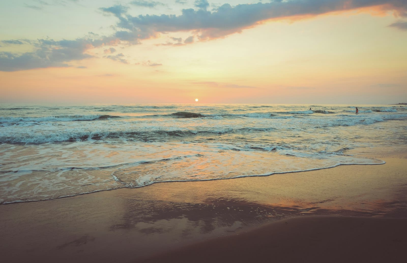 Zwemstrand Hondenstrand Bloemendaal