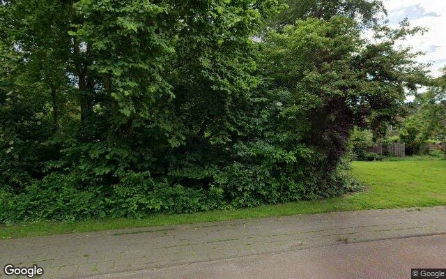 Losloopgebied Hondenlosloopgebied Verschillende groenstroken aan beide kanten van Bakboordswal