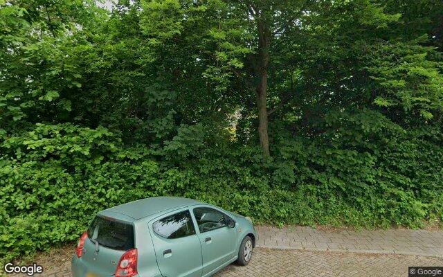 Losloopgebied Hondenlosloopgebied Groenstrook zuidzijde van water, van Dwarsdijkje tot Sibrandaheerd