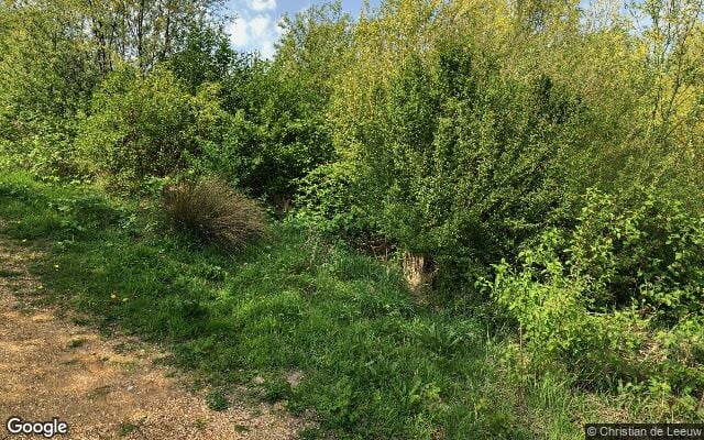 Losloopgebied Hondenlosloopgebied Herikweg