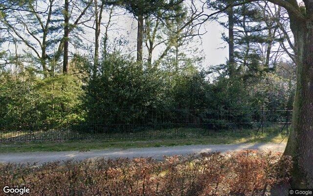 Losloopgebied Hondenlosloopgebied Apeldoorn
