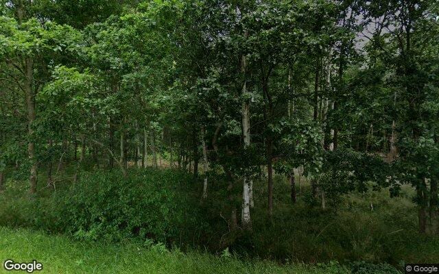 Boswachterij Ruinen, Losloopgebied