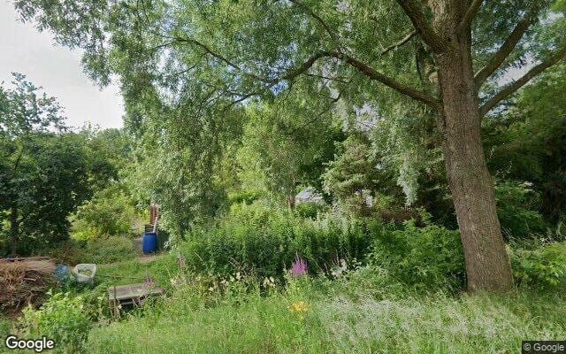 Losloopgebied Hondenlosloopgebied Kooiweg, bermen en grasstroken aan weerszijden van de weg.