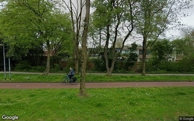Losloopgebied Hondenlosloopgebied Verschillende groenstroken aan beide kanten van Bakboordswal