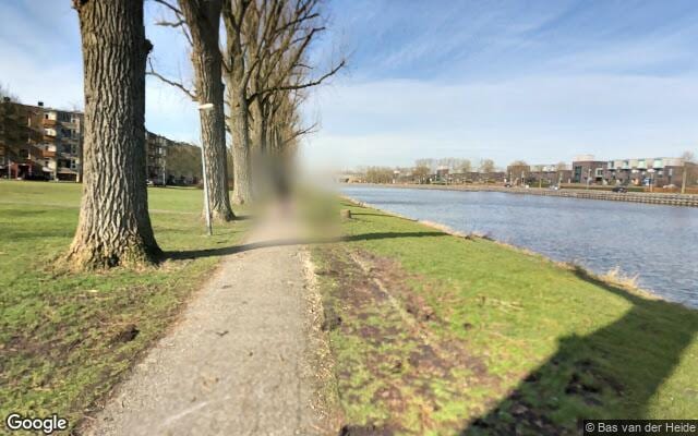 Losloopgebied Hondenlosloopgebied Groenstrook Noordzijde Westindischekade