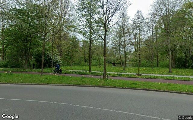 Losloopgebied Hondenlosloopgebied Verschillende groenstroken aan beide kanten van Bakboordswal