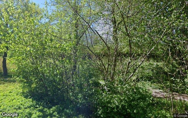 Losloopgebied Hondenlosloopgebied Groenstrook ten westen van grasveld, van Plataanlaan tot bocht in Noorderspoorsingel